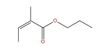 Propyl (Z)-2-methyl-2-butenoate